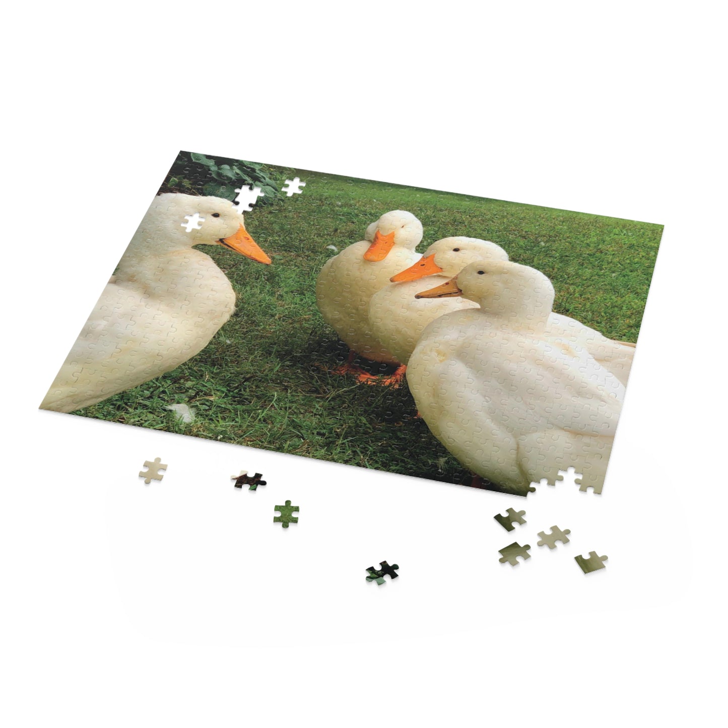 "What's quacking?" Backyard Ducks 500-Piece Puzzle