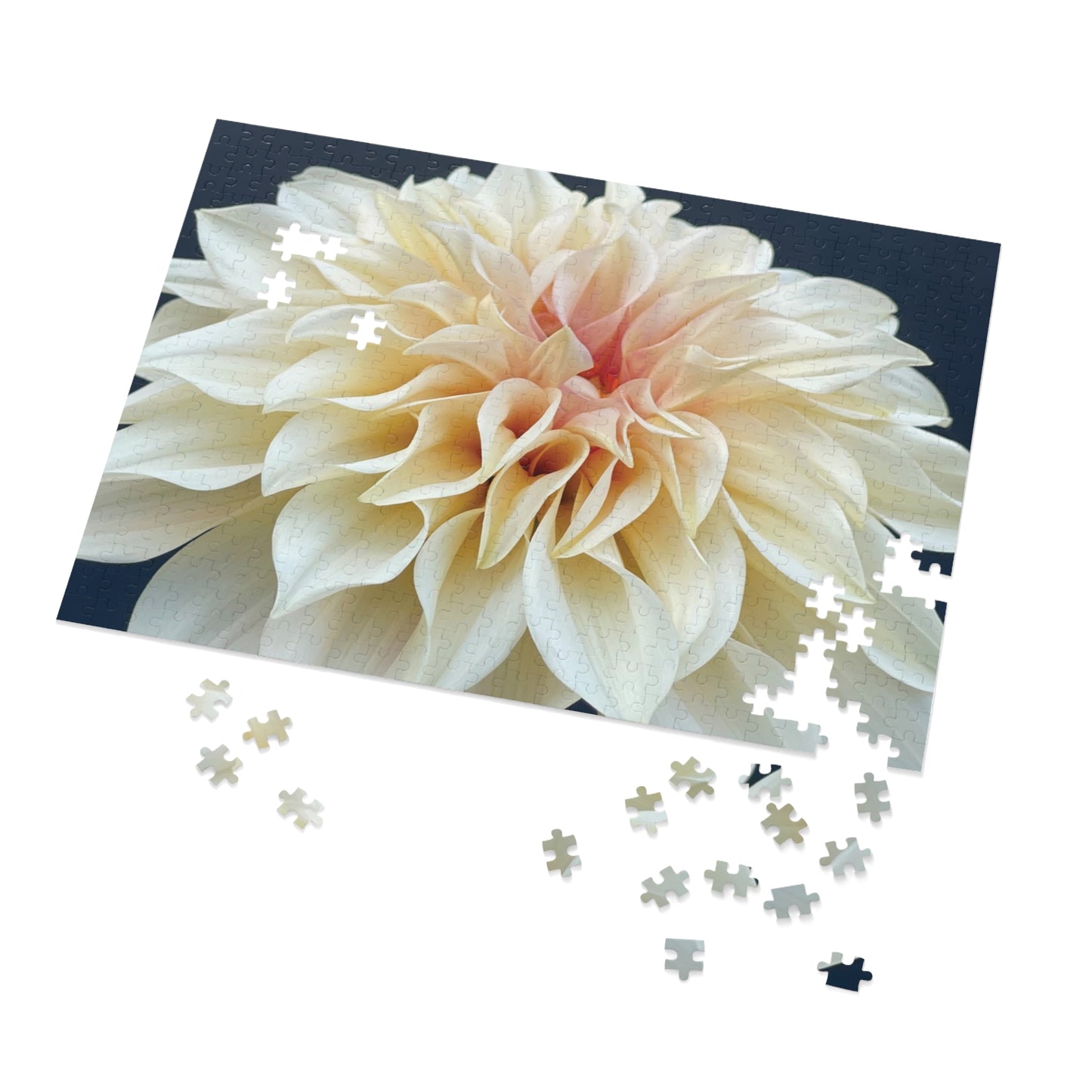 Dahlia "Café au Lait" Jigsaw Puzzle (500-piece)
