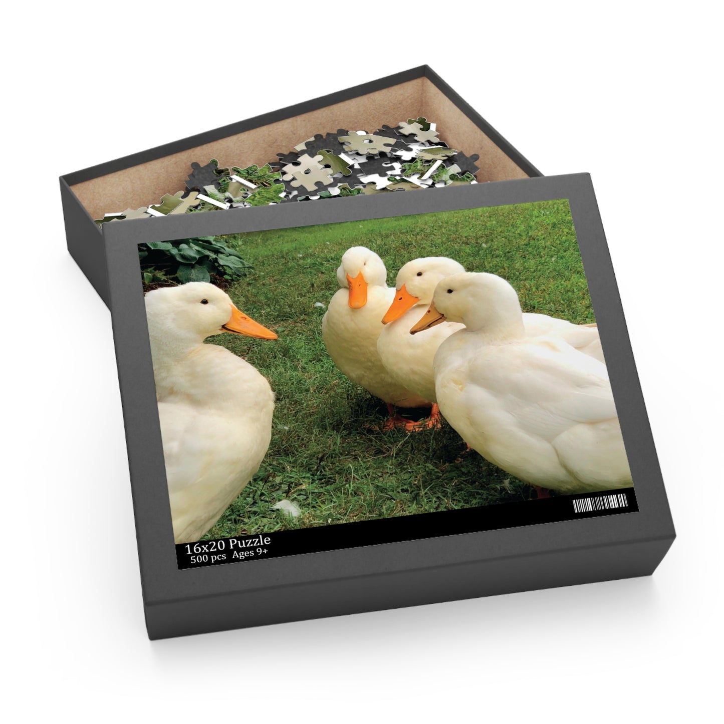 "What's quacking?" Backyard Ducks 500-Piece Puzzle