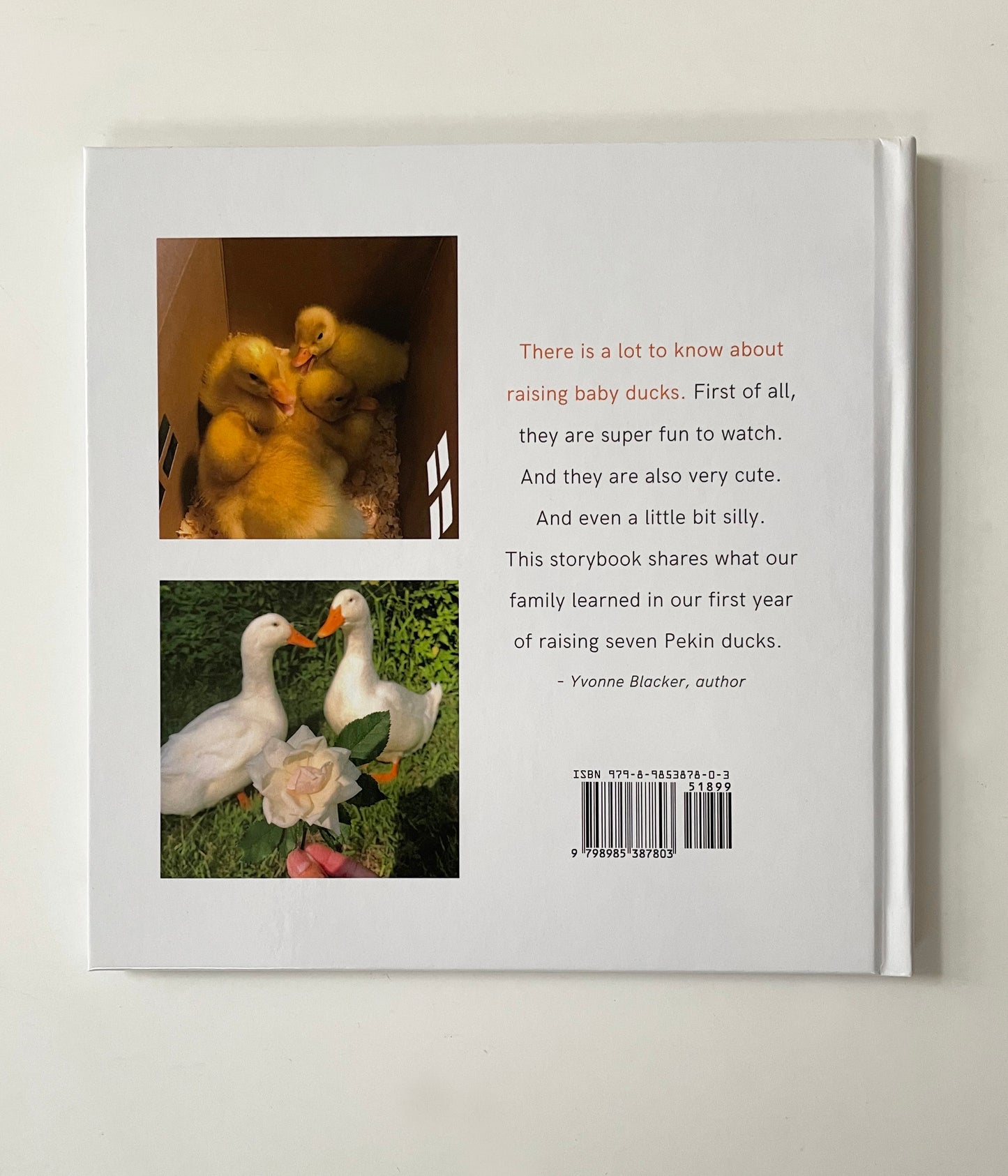 “Backyard Ducks” by Yvonne Blacker (hardcover edition)