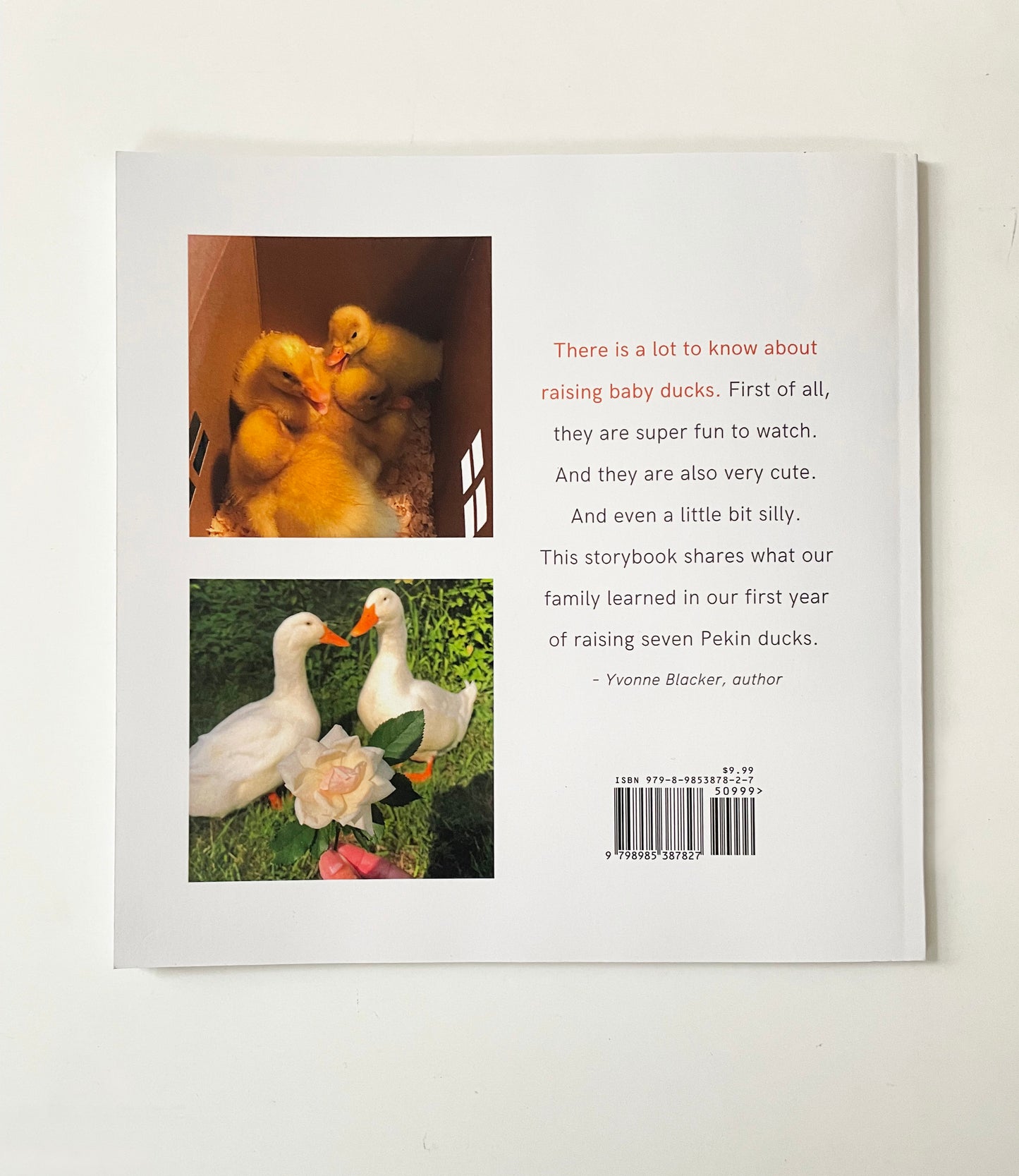 “Backyard Ducks” by Yvonne Blacker (softcover edition)