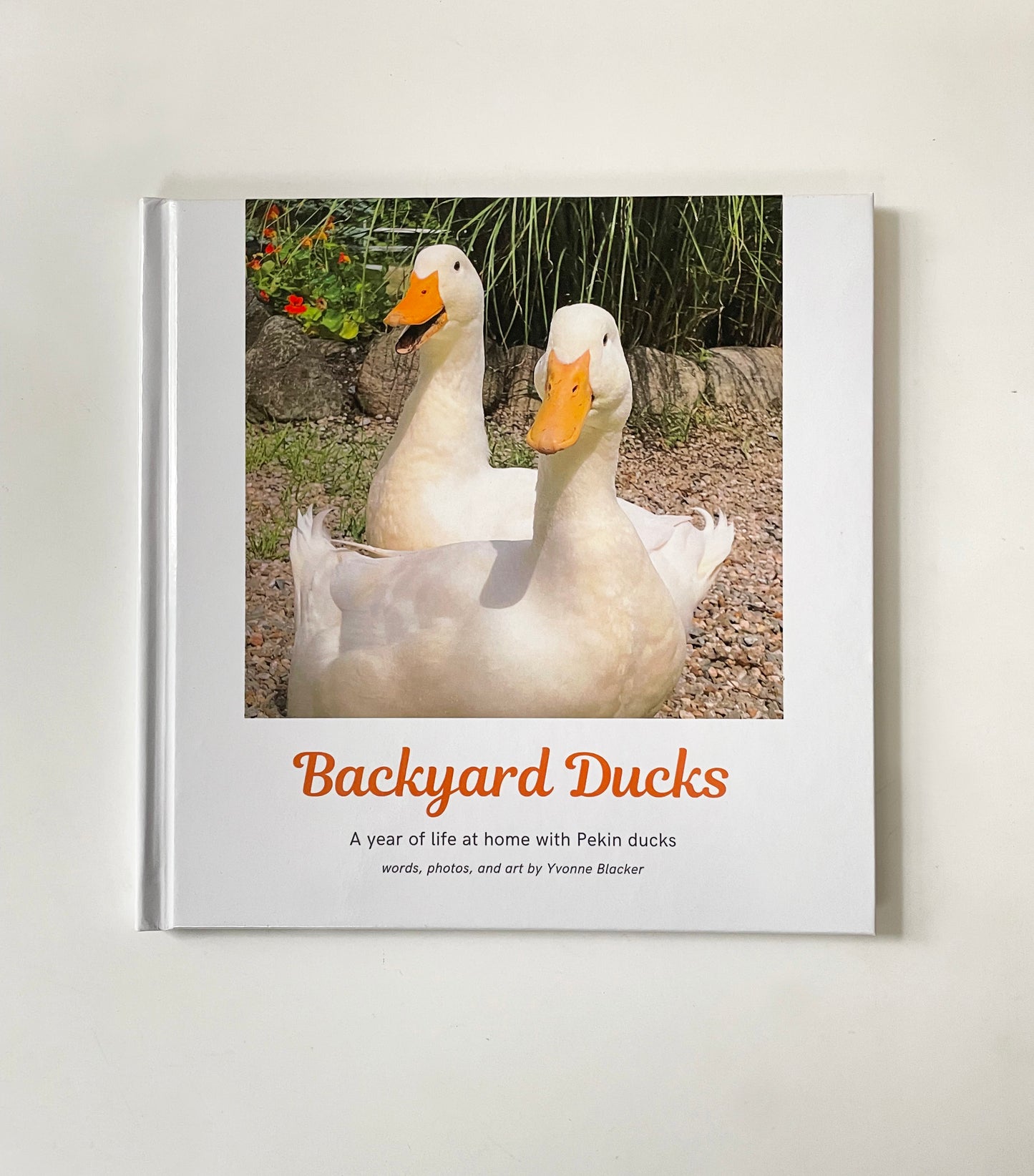 “Backyard Ducks” by Yvonne Blacker (hardcover edition)