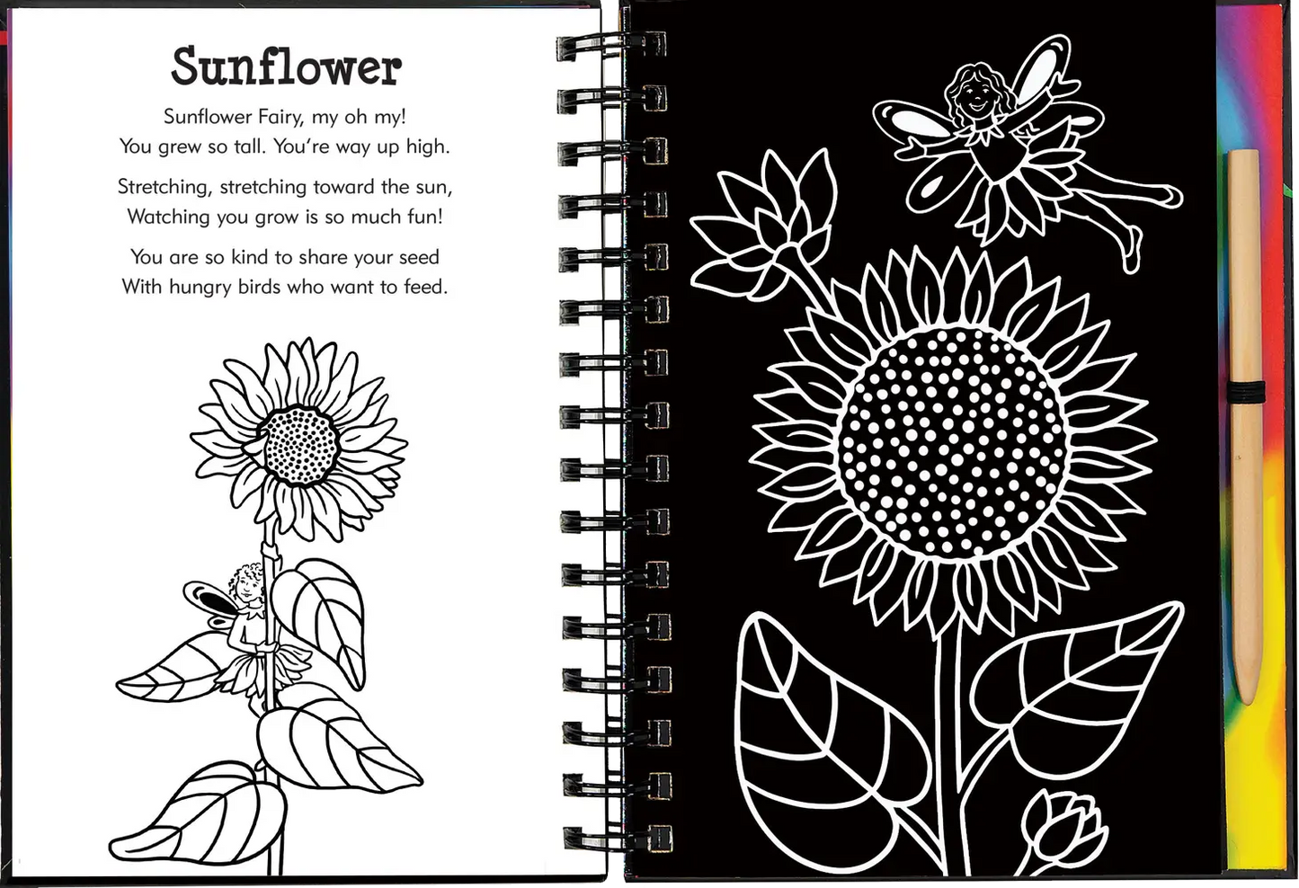 Scratch & Sketch™ Garden Fairies (Trace-Along)