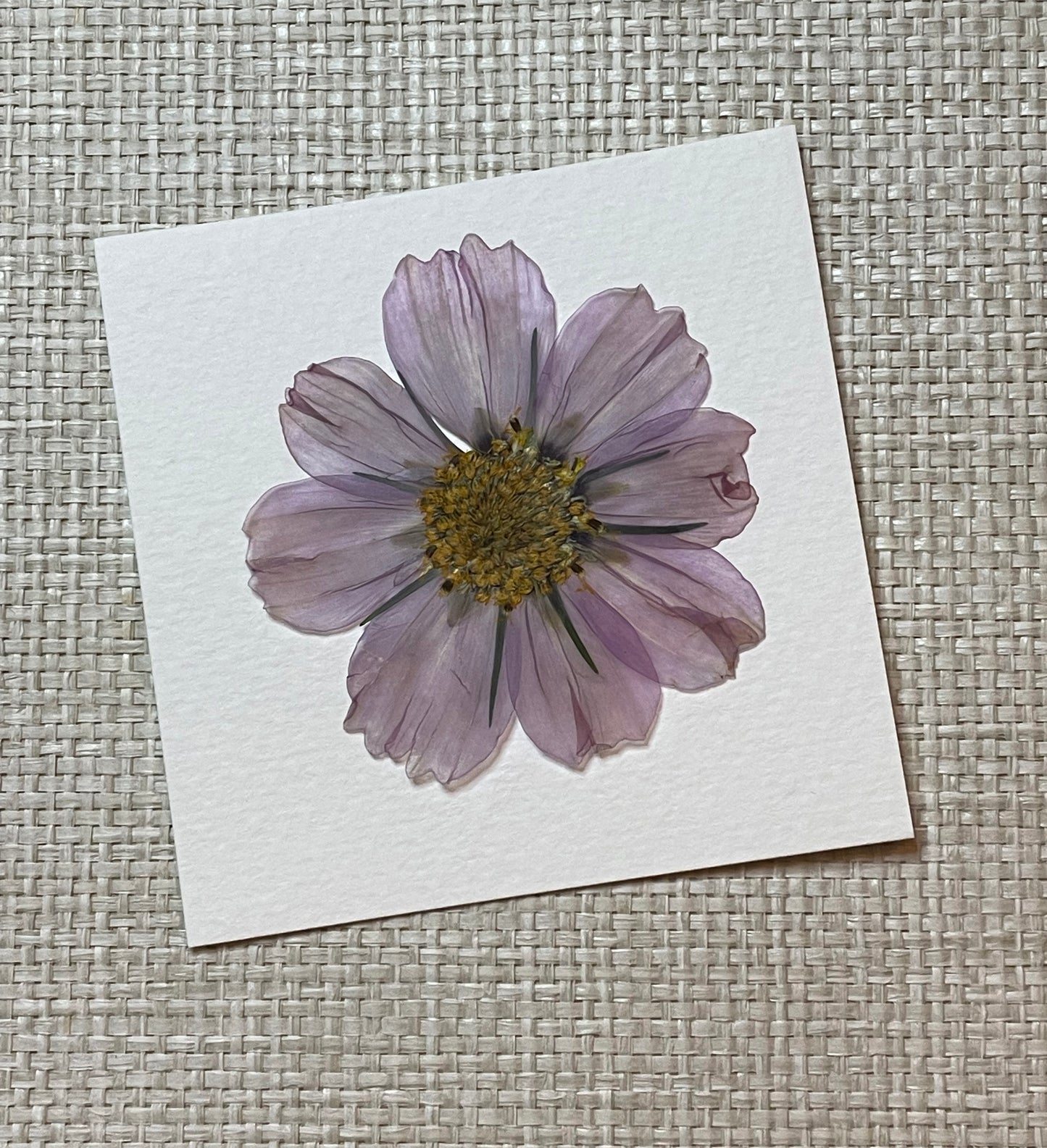 Mini Flower Press