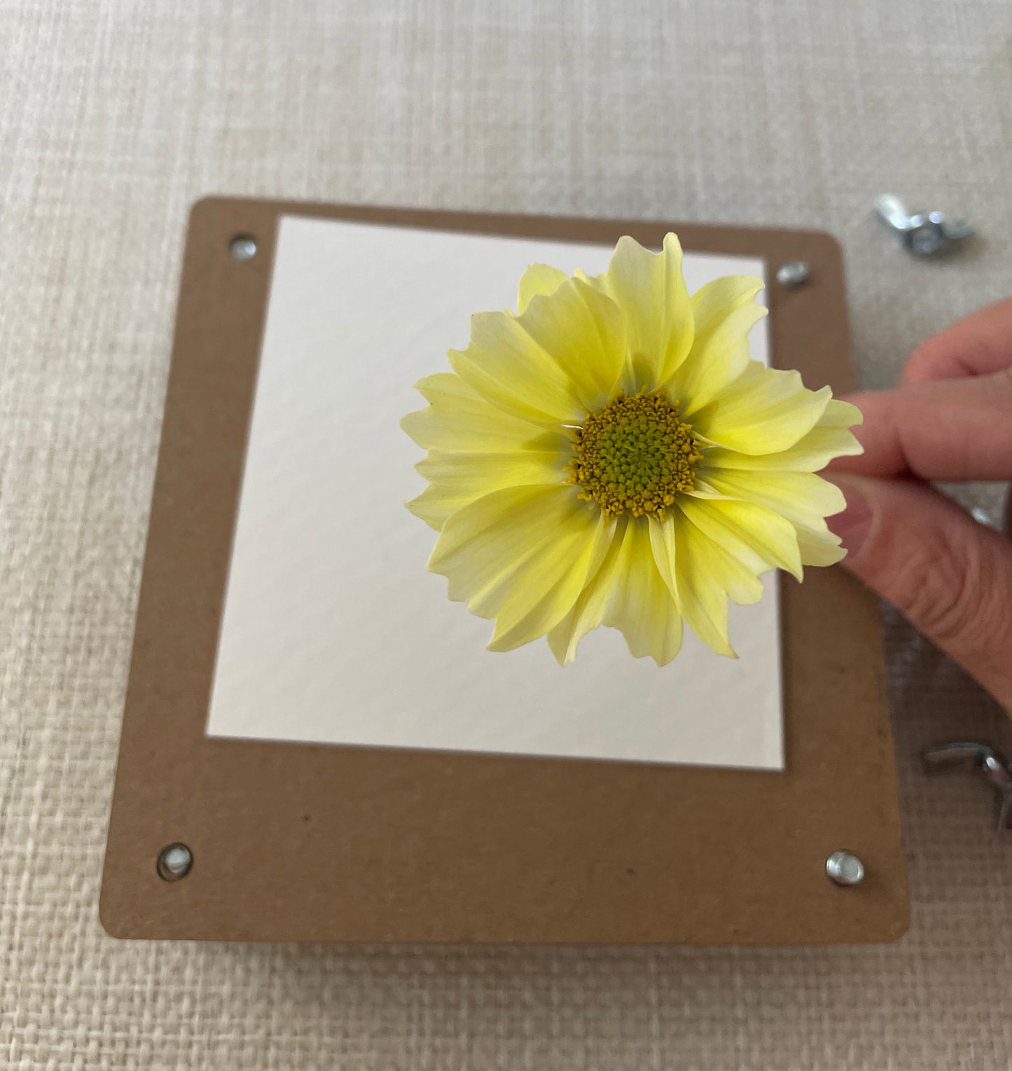 Mini Flower Press