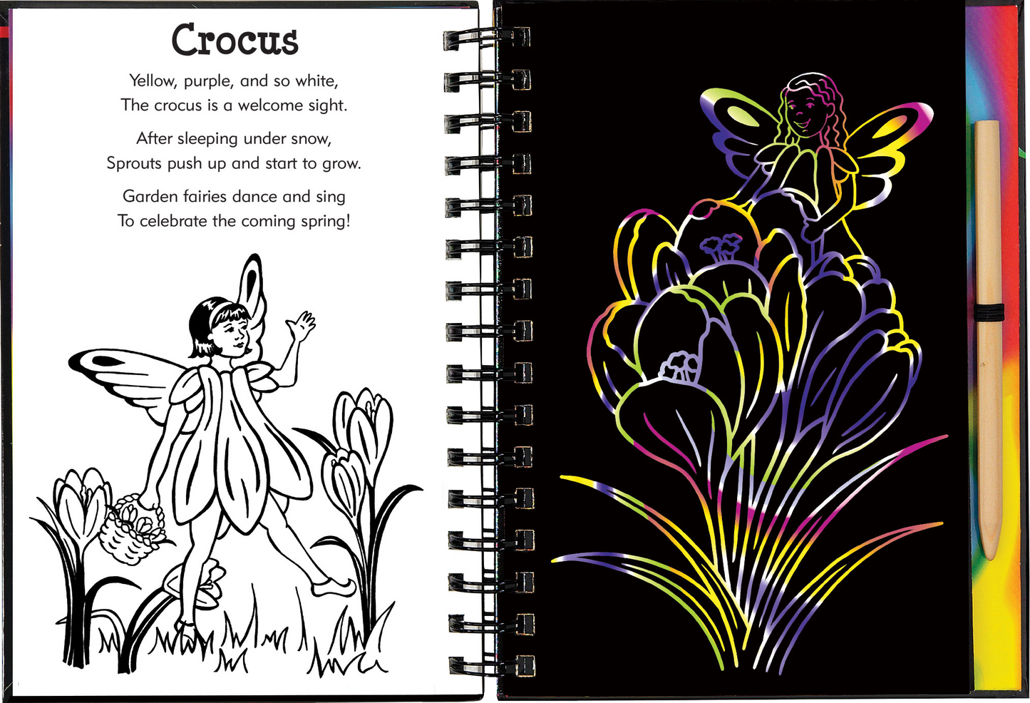 Scratch & Sketch™ Garden Fairies (Trace-Along)