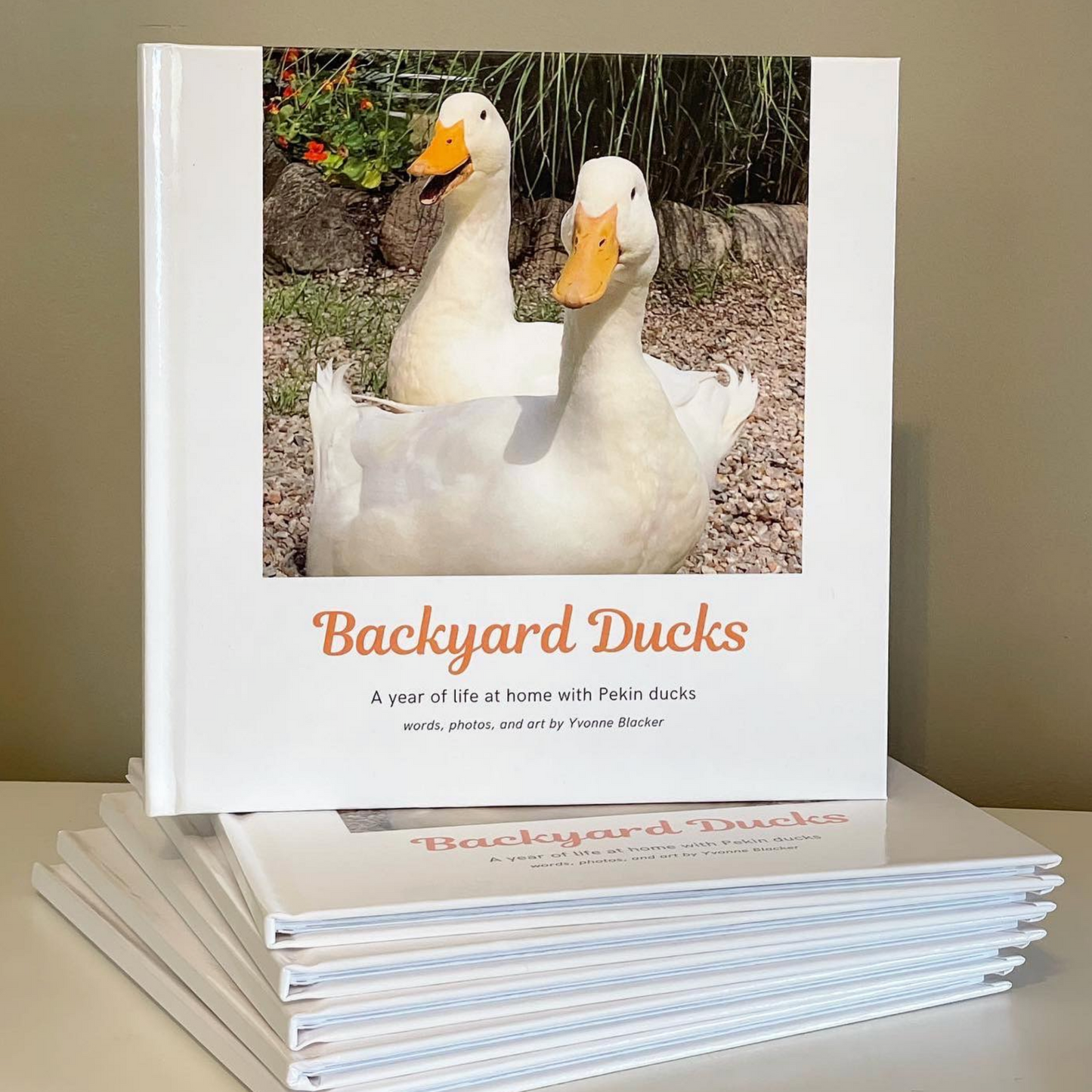 “Backyard Ducks” by Yvonne Blacker (hardcover edition)