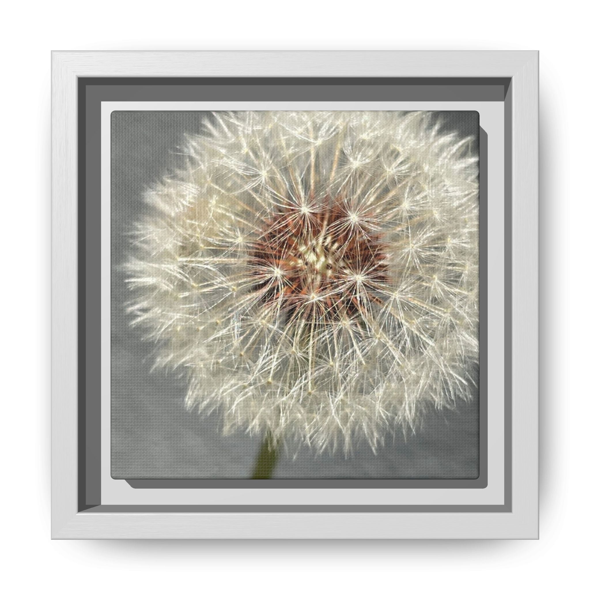 Dandelion Wish on Matte Canvas with White Frame – Duck Petals