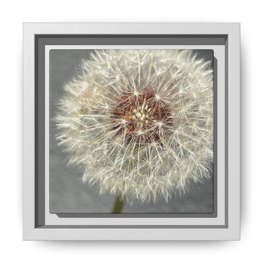 Dandelion Wish on Matte Canvas with White Frame