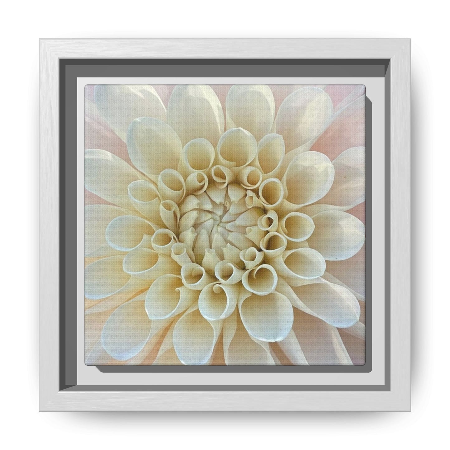 Sweet Natalie Dahlia on Matte Canvas with White Frame