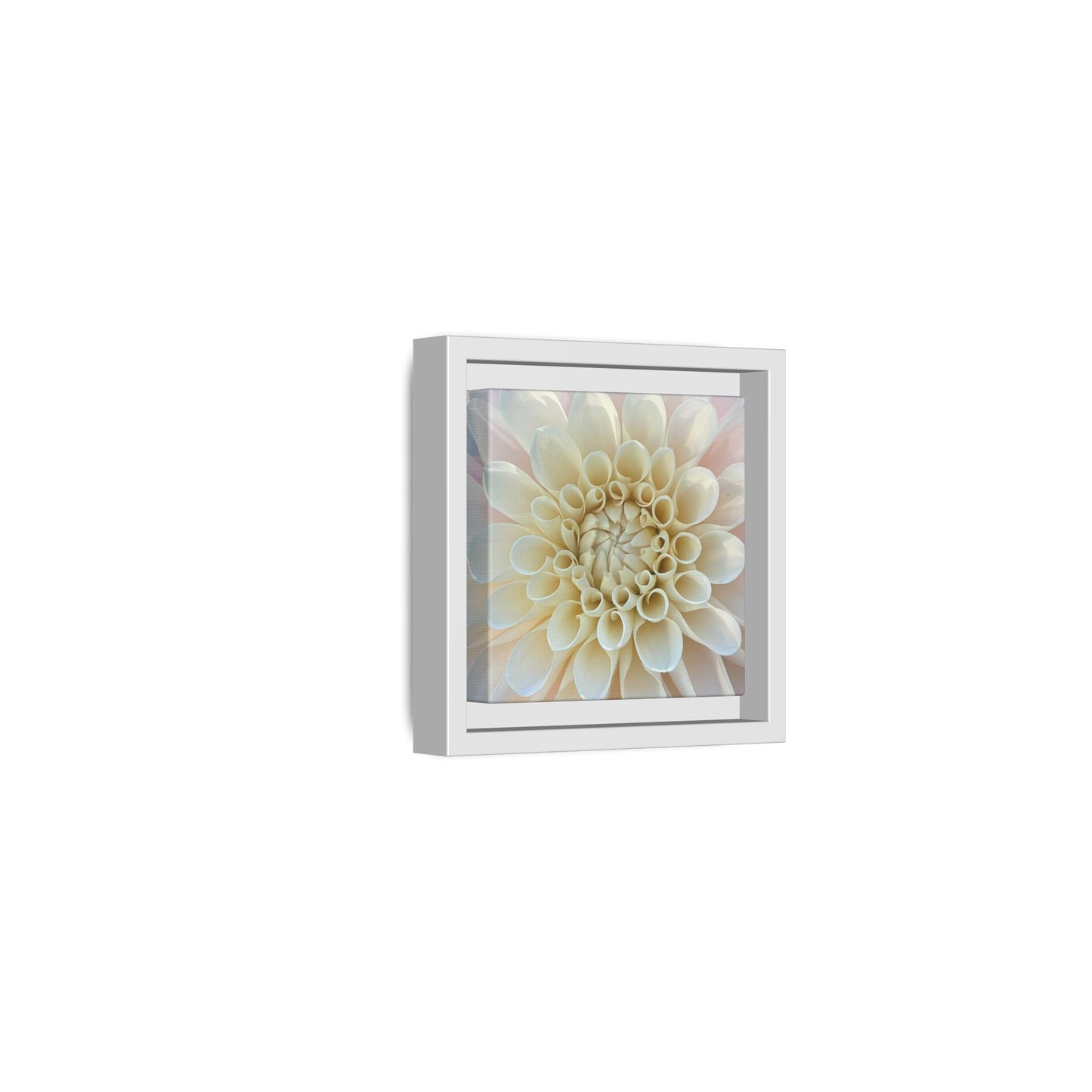Sweet Natalie Dahlia on Matte Canvas with White Frame