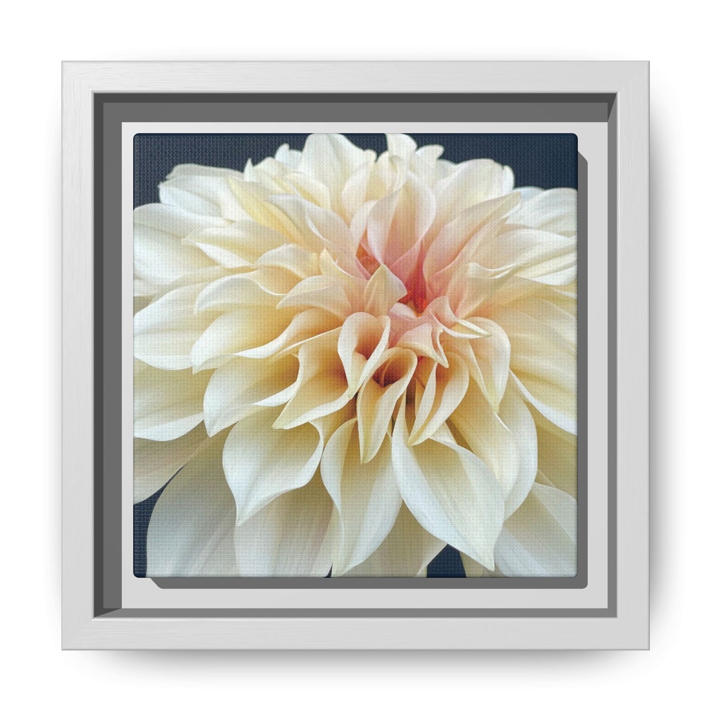 Café au Lait Dahlia on Matte Canvas with White Frame