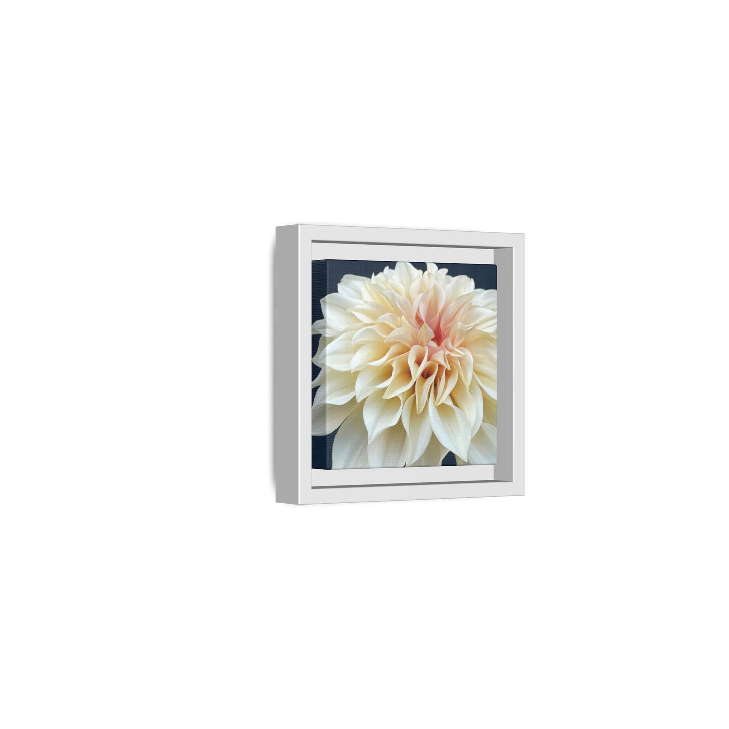 Café au Lait Dahlia on Matte Canvas with White Frame