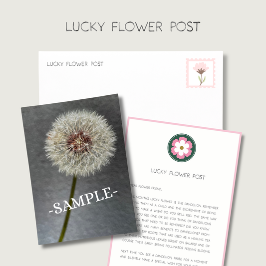 Lucky Flower Post Mail Club (Special Collection for Oct, Nov, Dec of 2026)